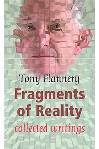 Fragments of Reality
