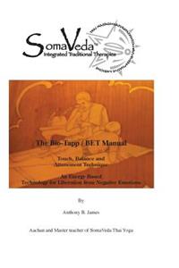 Bio-Tapp/ BET Manual