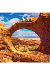 Utah Wild & Scenic 2021 Mini 7x7