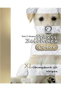 Praxis Zeichnen [Color] - XL Übungsbuch 10