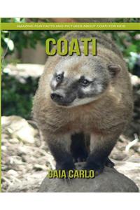 Coati