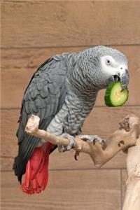 African Gray Parrot Notebook