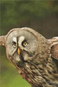 Old Owl In Flight - Lined Notebook with Margins