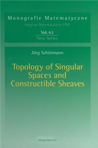 Topology of Singular Spaces and Constructible Sheaves