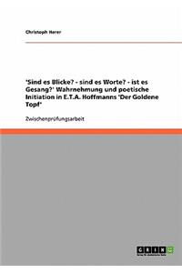 'Sind es Blicke? - sind es Worte? - ist es Gesang?' Wahrnehmung und poetische Initiation in E.T.A. Hoffmanns 'Der Goldene Topf'