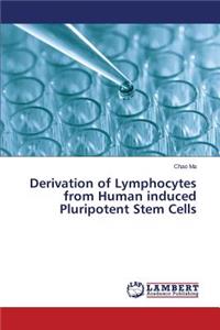 Derivation of Lymphocytes from Human induced Pluripotent Stem Cells