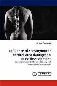 Influence of Sensorymotor Cortical Area Damage on Spine Development