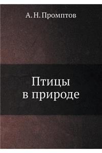 Птицы в природе
