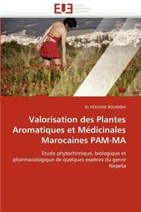 Valorisation des plantes aromatiques et médicinales marocaines pam-ma