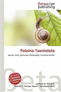 Palaina Taeniolata