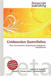 Cnidoscolus Quercifolius