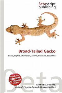 Broad-Tailed Gecko