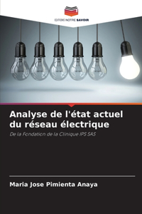 Analyse de l'état actuel du réseau électrique