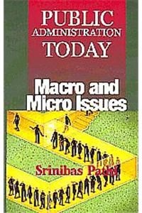 Public Administration Today: Macro and Micro Issues