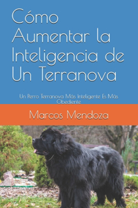 Cómo Aumentar la Inteligencia de Un Terranova