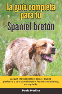 Guía Completa Para Tu Spaniel bretón