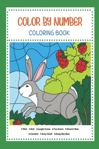 Color By Number Coloring Book