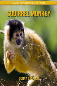 Squirrel monkey