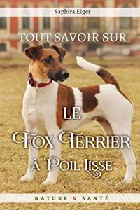 Tout Savoir sur le Fox Terrier à Poil Lisse