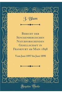 Bericht der Senckenbergischen Naturforschenden Gesellschaft in Frankfurt am Main 1898: Vom Juni 1897 bis Juni 1898 (Classic Reprint)