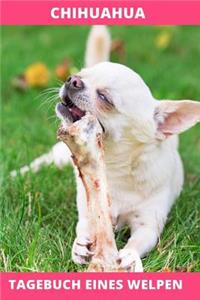 Chihuahua Tagebuch eines Welpen