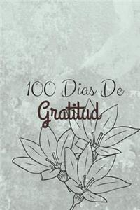 100 Dias De Gratitud