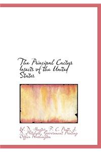 The Principal Cactus Insects of the United States