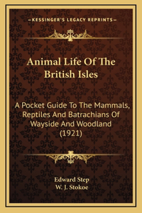 Animal Life Of The British Isles: A Pocket Guide To The Mammals, Reptiles And Batrachians Of Wayside And Woodland (1921)