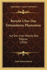 Bericht Uber Das Detonations Phanomen