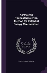 Powerful Truncated Newton Method for Potential Energy Minimization