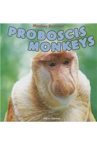 Proboscis Monkeys