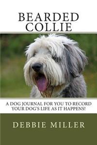 Bearded Collie