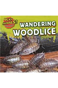 Wandering Woodlice