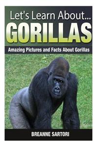 Gorillas: Amazing Pictures and Facts about Gorillas