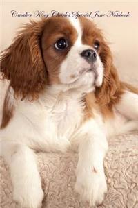 Cavalier King Charles Spaniel June Notebook Cavalier King Charles Spaniel Record, Log, Diary, Special Memories, to Do List, Academic Notepad, Scrapbook & More