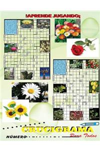 Crucigramas para Todos 3