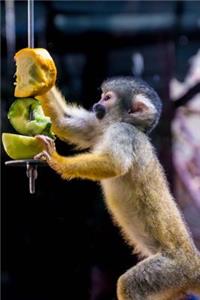 Cute Squirrel Monkey Journal: 150 Page Lined Notebook/Diary