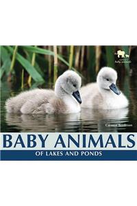 Baby Animals of Lakes and Ponds