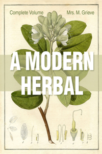 A Modern Herbal