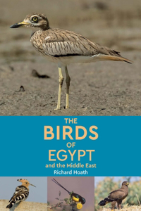 Birds of Egypt and the Middle East
