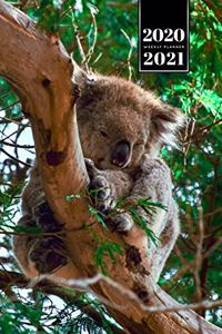 Koala Bear Rainforest Week Planner Weekly Organizer Calendar 2020 / 2021 - Very Tired
