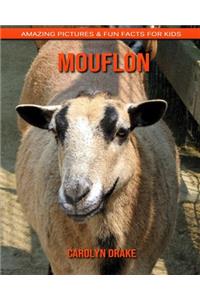 Mouflon