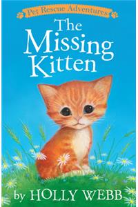 The Missing Kitten