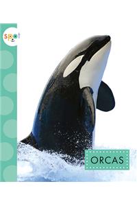 Orcas