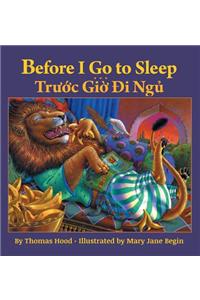 Before I Go to Sleep / Truoc Gio Di Ngu
