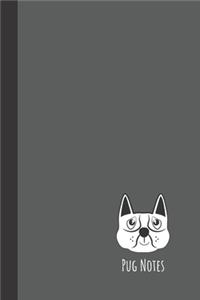 Pug Notes