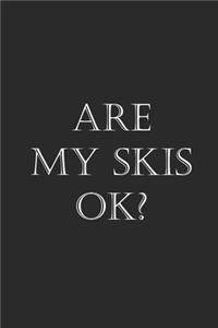 Are My Skis Ok?