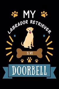 My Labrador Retriever is my Doorbell