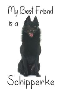 My best Friend is a Schipperke