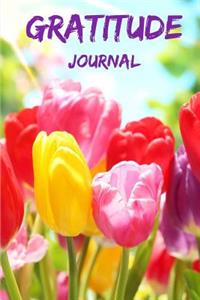 Gratitude Journal